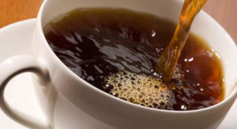 Produtores de café canéfora em Rondônia aprovam tecnologia da colheita semimecanizada no Estado