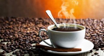 La Niña pode afetar qualidade do café do Vietnã e reduzir oferta da Ásia