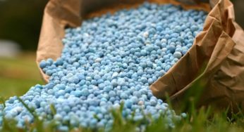 Entrega de fertilizantes bate recorde em junho