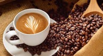 Café/Cepea: Indicador do robusta se aproxima de recorde real