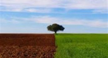 Obrigação de recuperar área de Reserva Legal vai aumentar custo de produção agrícola