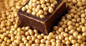 Soja sobe com volta do calor intenso – Análise Agrolink