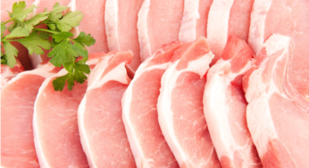 Exportações brasileiras de carne suína caíram pela primeira vez na comparação anual