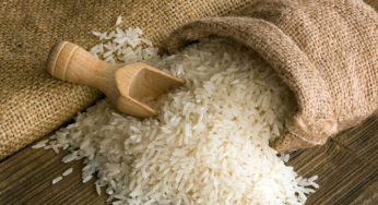 Produção e plantio de arroz têm queda na última safra