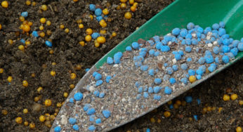 Alta nos preços dos fertilizantes em setembro