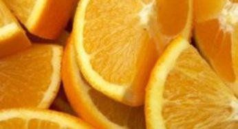 Prazo de inscrições para o MasterCitrus encerra na sexta-feira