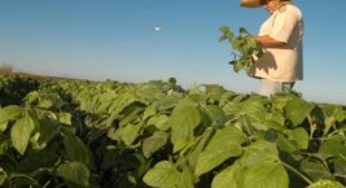 Abertura do plantio de soja reúne produtores, autoridades e pesquisadores em Sinop