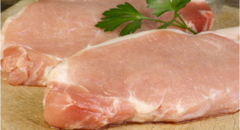 Exportações de carne suína estão em alta na parcial de setembro