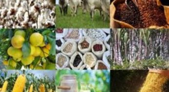 Brasil possui 20% da biodiversidade mundial mas consome alimentos de outros países