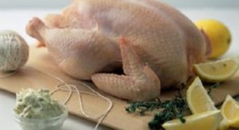 Frango/Cepea: Cotações da carne de frango atingem recorde nominal