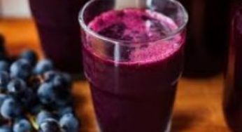Produção de suco de uva traz renda para agricultores catarinenses