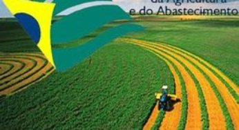 Arroz: Nota de esclarecimento
