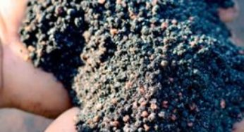 Fertilizantes batem recorde pelo 2º mês consecutivo