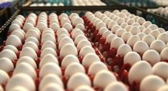 Mercado de ovos obtém reajuste significativo na véspera do feriado religioso