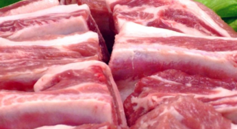 Fechamento da exportação de carne suína em setembro