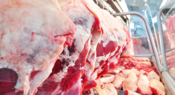 Expectativa de queda no volume exportado de carne bovina in natura em outubro
