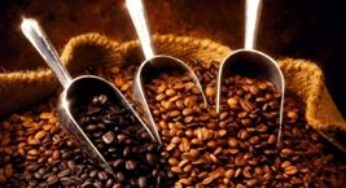 Brasil potencializa seu mercado de cafés especiais no Japão