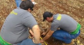 De olho no céu, produtores de Mato Grosso seguram vendas à espera de bons preços