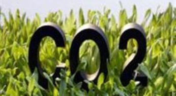 Agropecuária de baixo carbono será debatida em Brasília