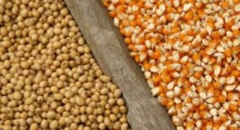 Zoneamento agrícola de risco climático de milho e soja é apresentado em Redenção