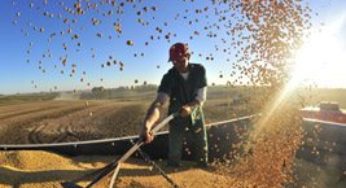 Vendas antecipadas de soja têm ritmo lento no Brasil, diz França Junior