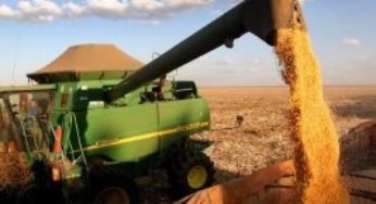 Preços freiam venda de soja em Mato Grosso e produtor deve ter cautela