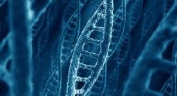 Biotecnologia pode gerar ganhos de US$ 66 bilhões em 10 anos