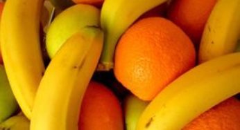 Agricultores do Vale do Ivaí conhecem tecnologias usadas na produção de frutas