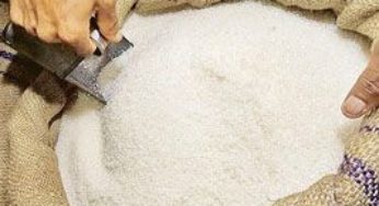 Açúcar/Cepea: Comprador se retrai e mantém baixa liquidez no spot paulista