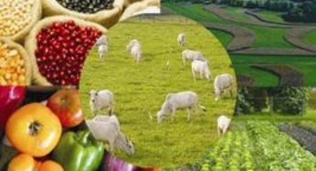 Vendas externas do agronegócio alcançam US$ 73,10 bilhões no acumulado do ano
