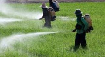 Mapa visita Austrália para entender Lei de Defensivos Agrícolas do país