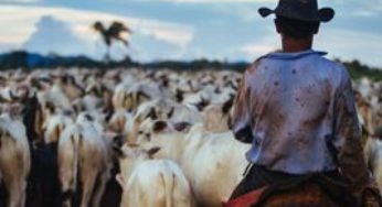 Missão do Panamá inicia inspeção para ampliar importação de material genético