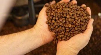Mudanças climáticas e a cafeicultura global