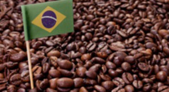 Café/Cepea: Cotações do arábica e do robusta seguem em queda