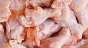 Produção de carne de frango cresce no Brasil e Guabi investe no setor