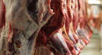 Varejistas trabalham melhor estoque de carne bovina e ajustam à demanda existente