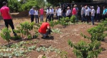 Seaf capacita técnicos multiplicadores do Pró-Café em Mato Grosso