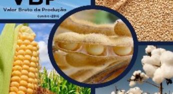 Valor bruto da produção agropecuária deve ser de R$ 519,3 bi neste ano