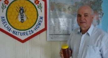 Pesquisa altera números de apicultores e confirma produtividade e qualidade de mel catarinense