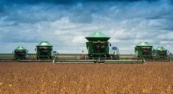 Paraná caminha para a colheita de uma safra de verão recorde