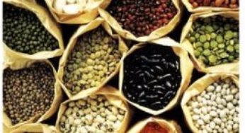 Abertura do setor agrícola ao capital estrangeiro fortalecerá a produção brasileira de grãos
