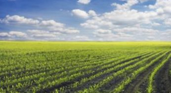 Curso no RS promove exportações do agronegócio