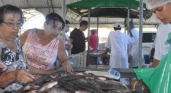 Novo Mercado de Peixe vai atender população de 10 municípios alagoanos