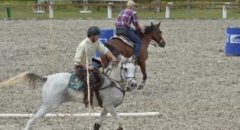 Cavalo Árabe apresenta sua funcionalidade no segundo dia de provas da 35º Nacional do Cavalo Árabe