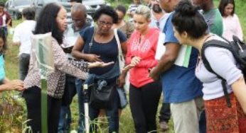 Pequenos agricultores aprendem a fazer inoculação com extratos de nódulos