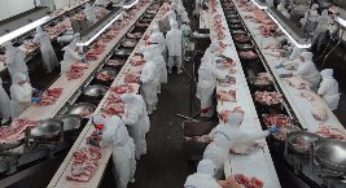 Conselho da Minerva aprova compra de Frisa Frigorífico Rio Doce por R$ 205 milhões