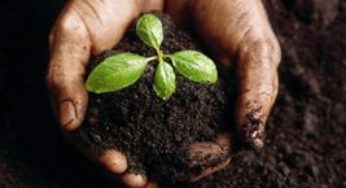 Conferência Estadual de Solo e Água tem lançamento de concurso para agricultores conservacionistas