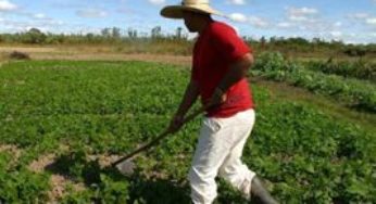 Nos próximos dez anos, ritmo de crescimento do agronegócio brasileiro será maior do que no resto do mundo