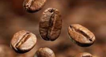 Exportação de café verde do Brasil cai 14,3% em novembro, diz Cecafé