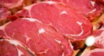 Carne bovina foi destaque na agenda de Novacki em Londres